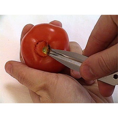 LOUIS TELLIER Tomatenentkerner