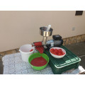 TRE SPADE SpremiTo Elektrische Tomatenpresse INOX