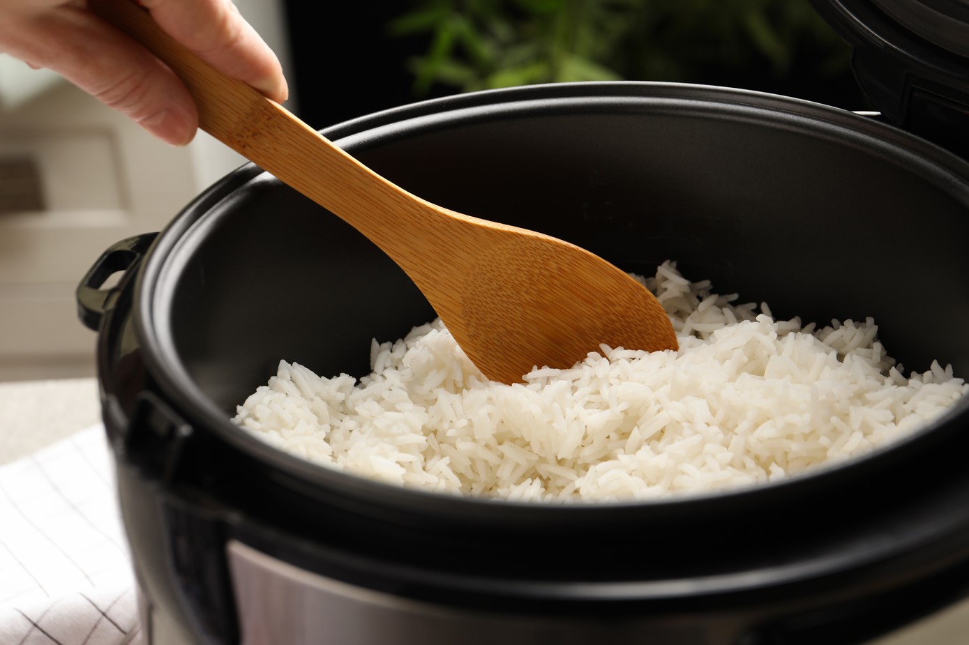Warum benötige ich einen Reiskocher? Deshalb!